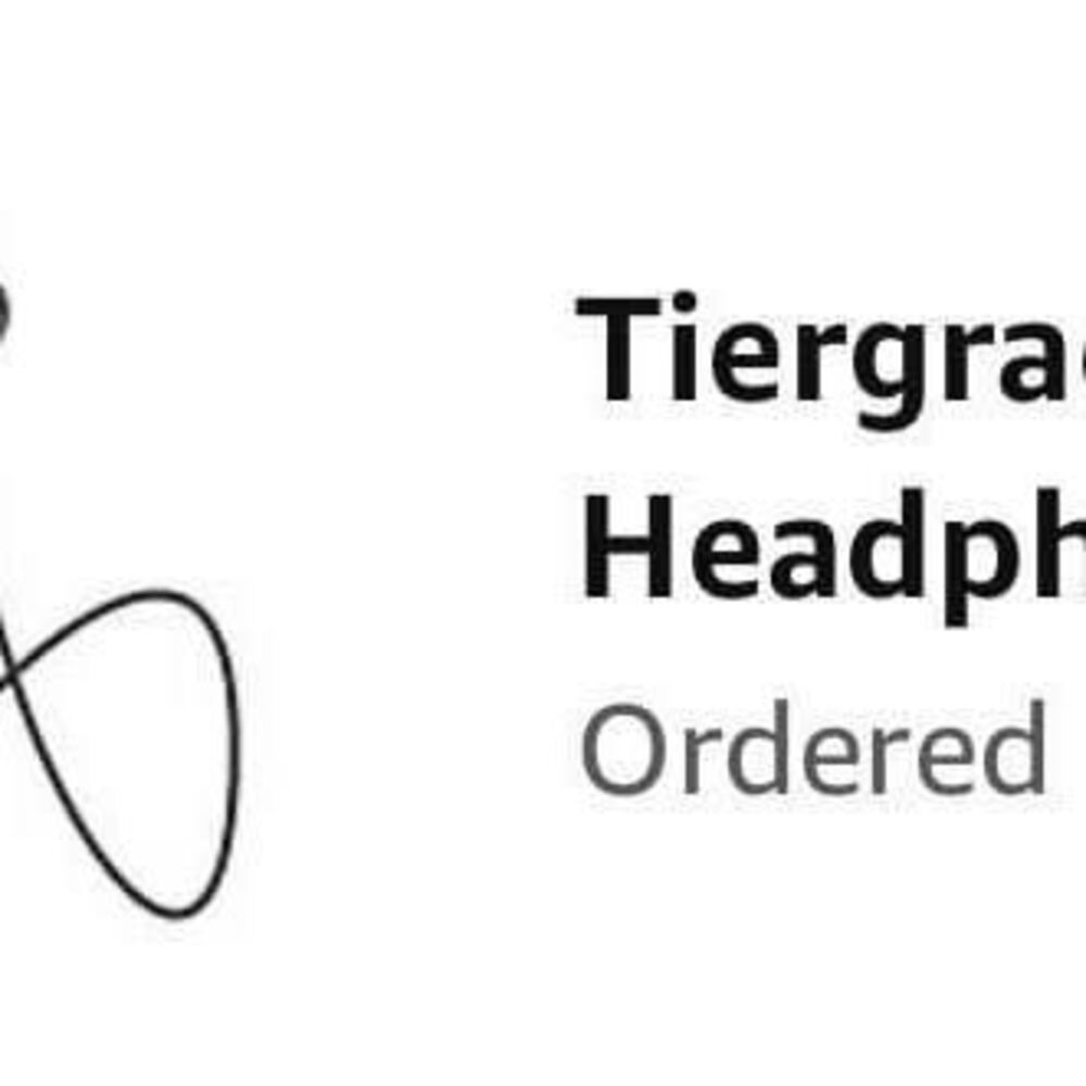 Tiergrade Bluetooth Headphones SK01